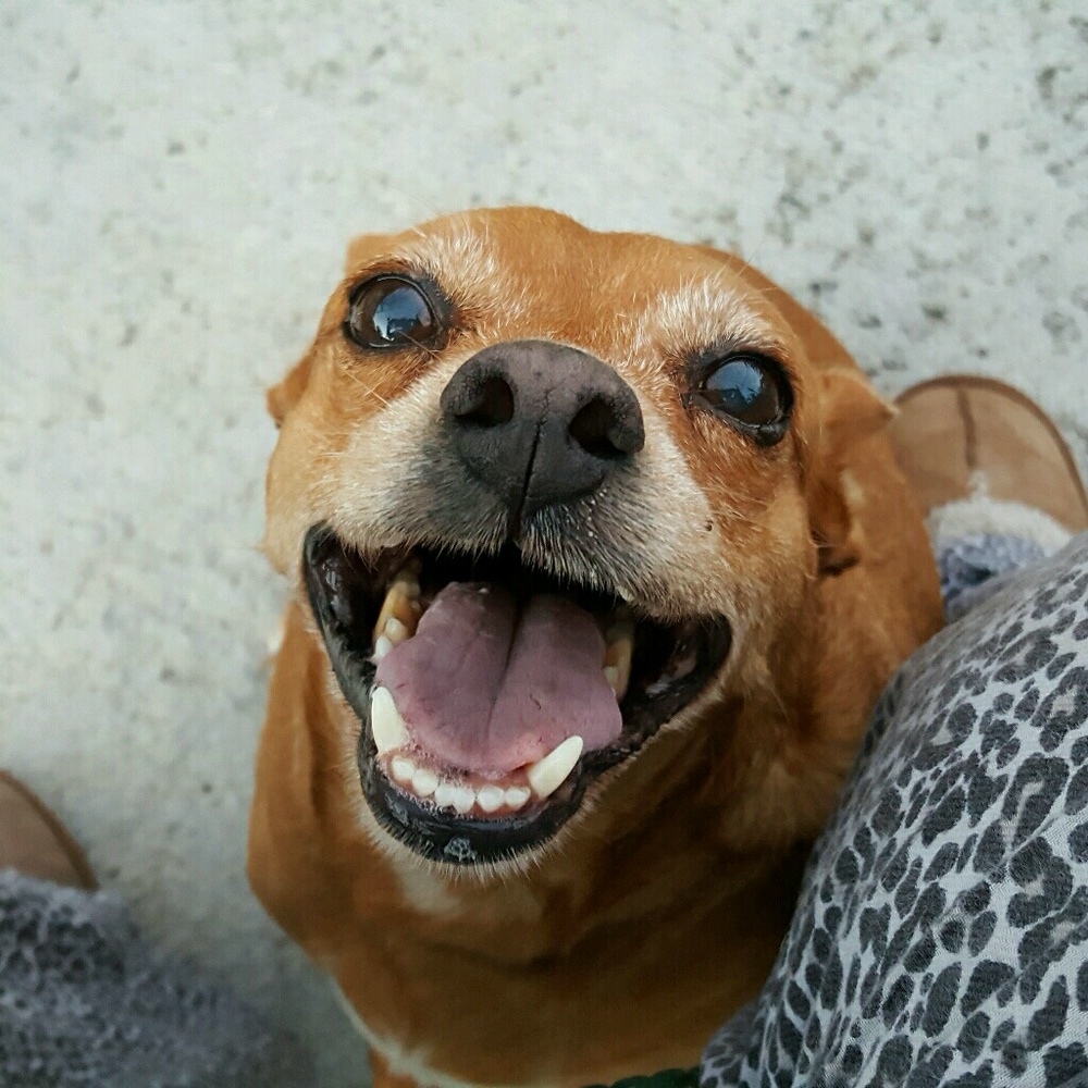 Meet your Posher, Alexandria